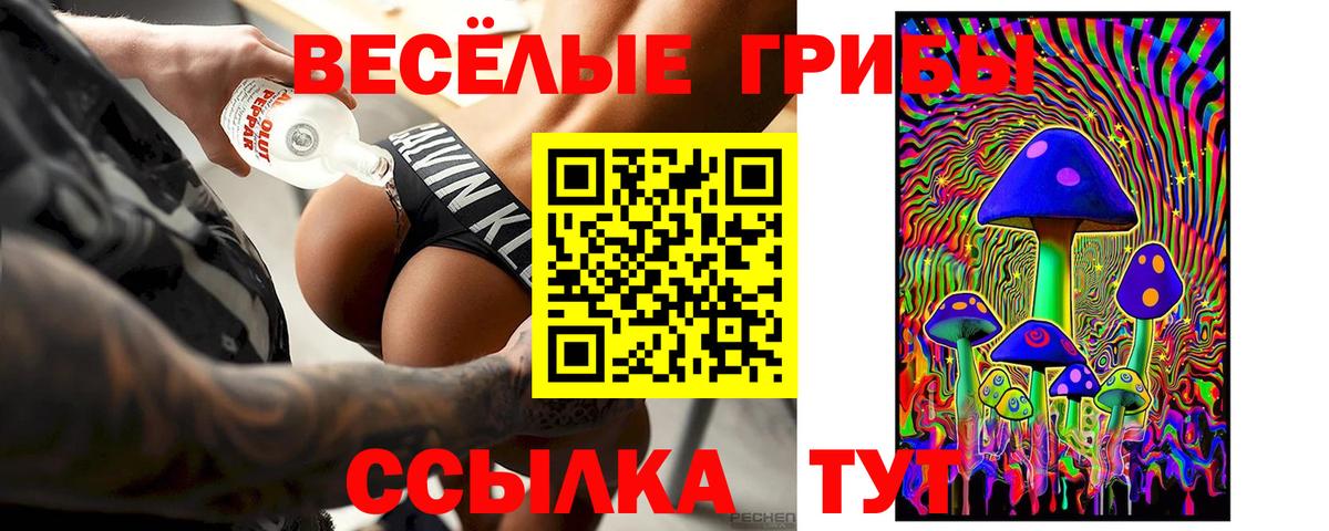 Псилоцибиновые грибы прущие грибы  Вход с VPN  Воронеж 