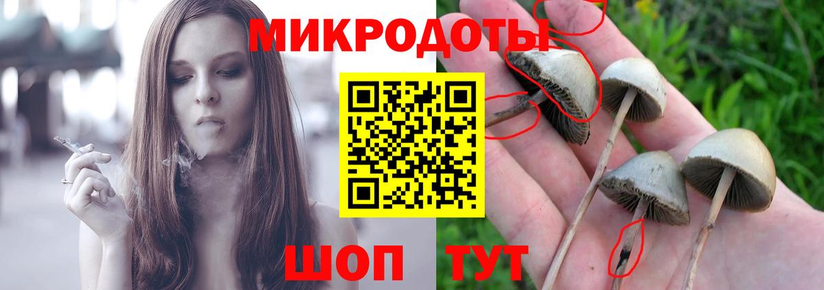 Галлюциногенные грибы мицелий Воронеж